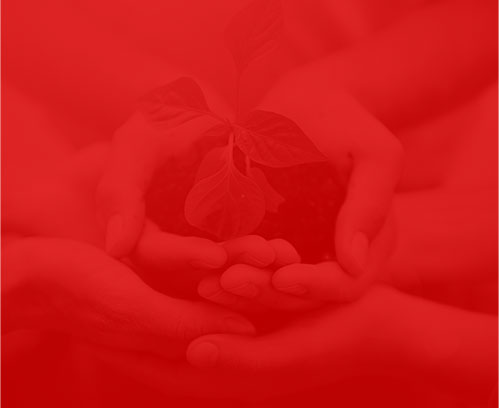 上海網絡公司千選科技